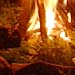 An image of dawsons bonfire1