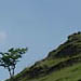 An image of piesanddovedale13