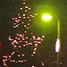 An image of Christmas lights 2