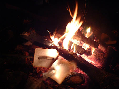 an image of dawsons bonfire3