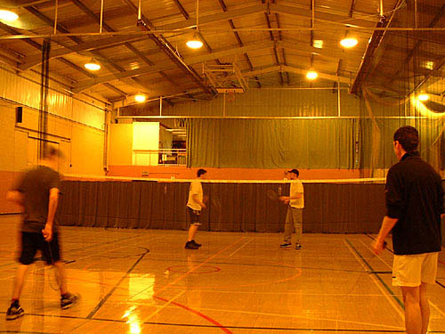 an image of badminton1