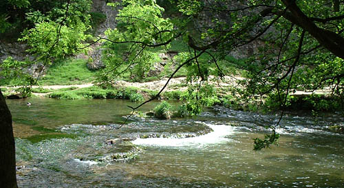 an image of Dove Dale2