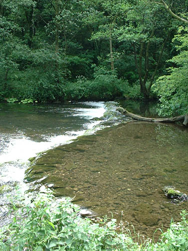 an image of Dove Dale5