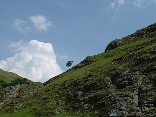 an image of piesanddovedale13