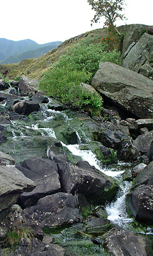 an image of stream