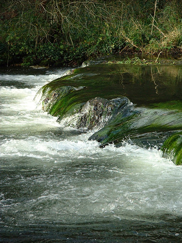 an image of River