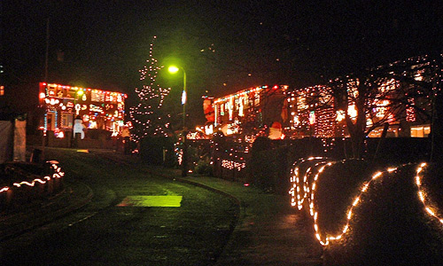 an image of Christmas lights 2