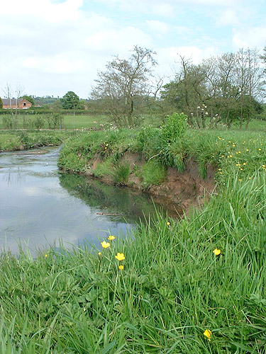 an image of Tean River