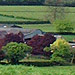 An image of panorama of Cheadle and Tean