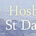 An image of St Davids Hospice homepage in Welsh