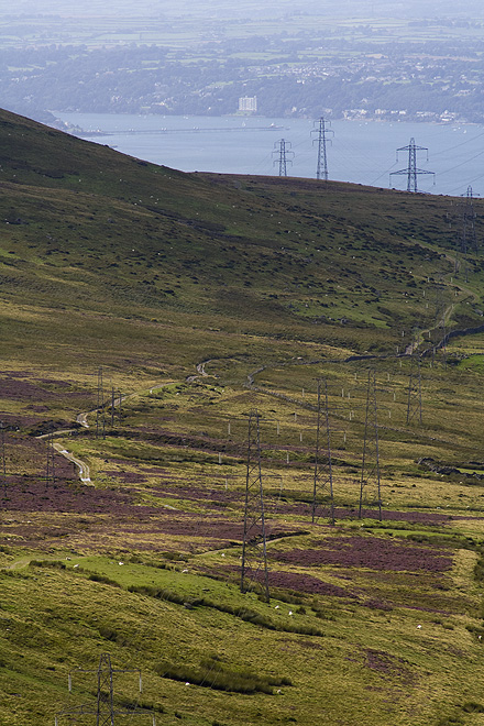 an image of Power pylons in the middle of nowhere
