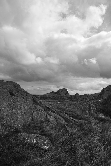 an image of Conwy wilderness 2